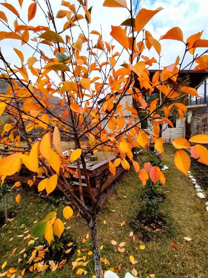 ---Allegria House--- Kasbegi Buitenkant foto