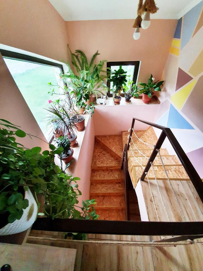 ---Allegria House--- Kasbegi Buitenkant foto
