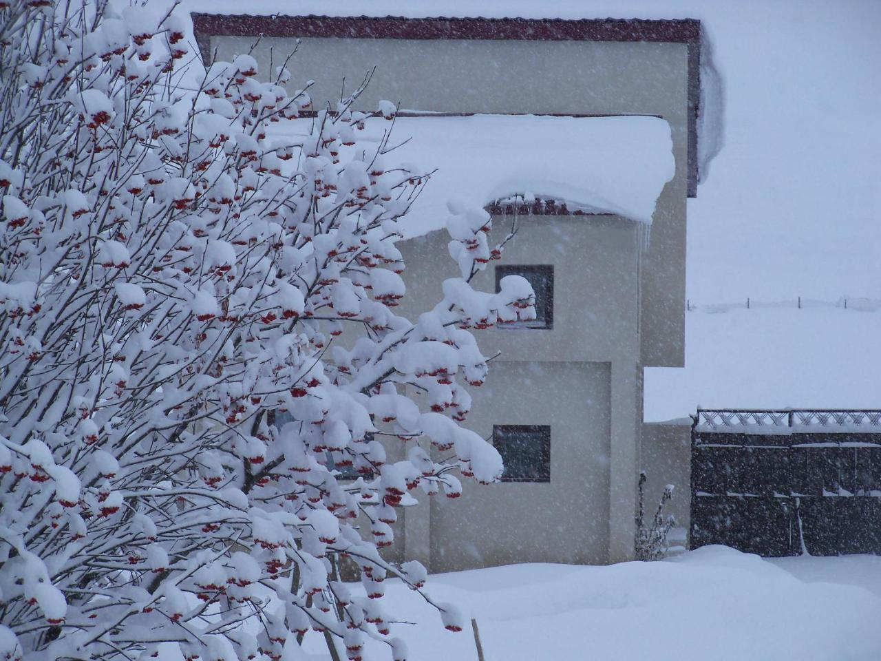 ---Allegria House--- Kasbegi Buitenkant foto