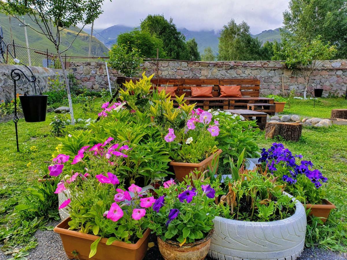 ---Allegria House--- Kasbegi Buitenkant foto